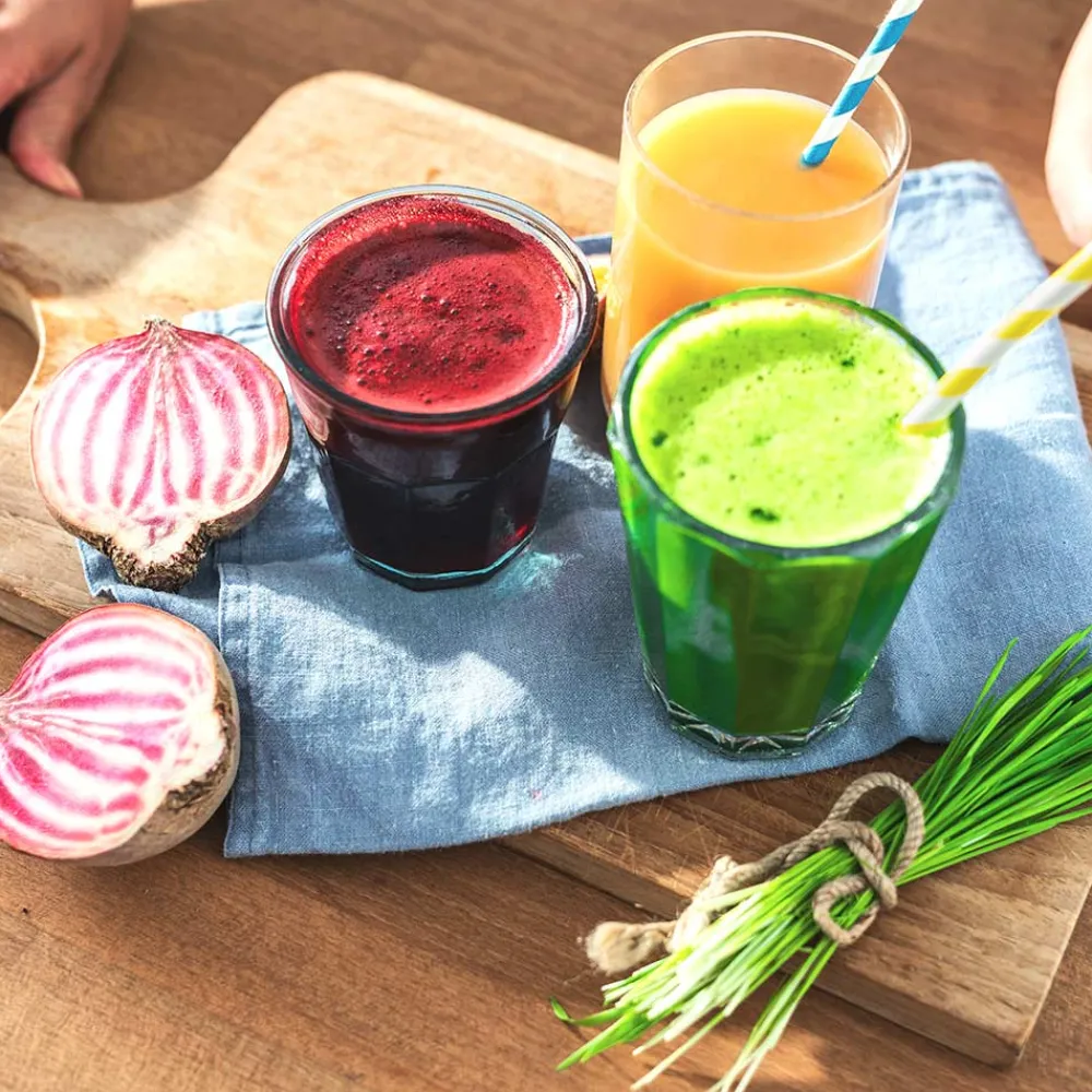 Entsafter & Slow Juicer*GASTROBACK Slow Juicer Advanced Vital