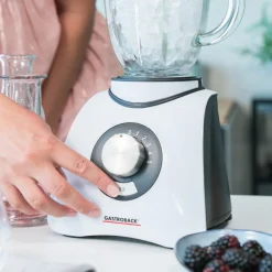Mixer, Standmixer, Hochleistungsmixer & Smoothie To Go Mixer*GASTROBACK Vital Mixer Basic