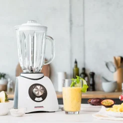 Mixer, Standmixer, Hochleistungsmixer & Smoothie To Go Mixer*GASTROBACK Vital Mixer Basic